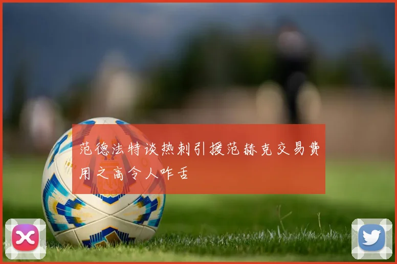 范德法特谈热刺引援范赫克交易费用之高令人咋舌